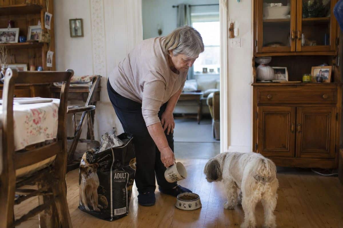 Aging parent feeding pet